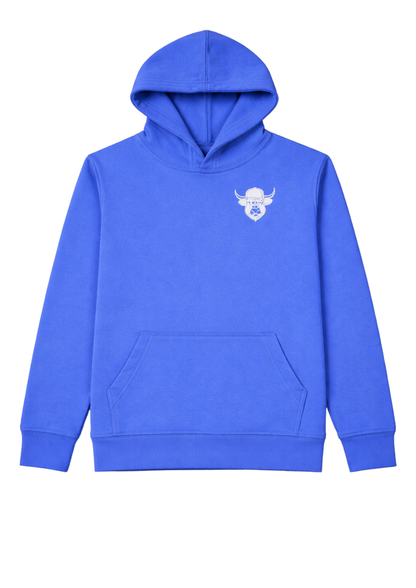 Adult Hoodie Blue